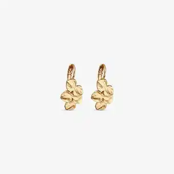 Aretes dalia
