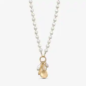Yanbal Collar nuna oferta