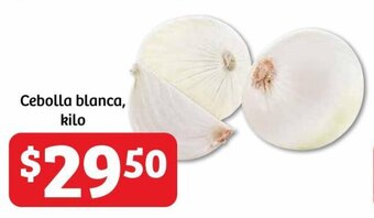 Soriana Híper Cebolla blanca, kilo oferta