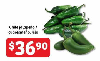 Soriana Híper Chile jalapeño / cuaresmeño, kilo oferta