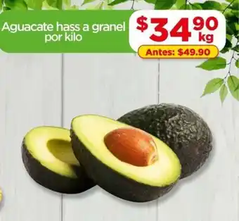 Aguacate hass a granel por kilo