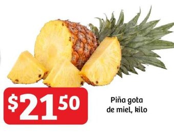 Piña gota de miel, kilo