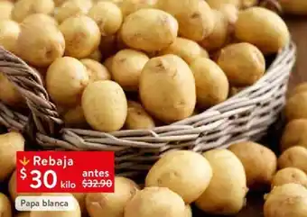 Papa blanca