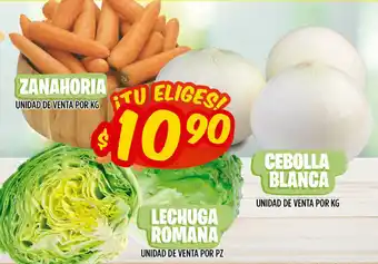 Zanahoria, Lechuga Romana, Cebolla Blanca