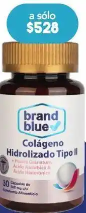 Farmacia San Pablo Brand blue suplemento alimenticio colágeno hidrolizado tipo ii 30 cápsulas oferta