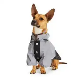 Petco Reddy rompevientos reflectivo modelo ombre color negro, xxx-grande oferta