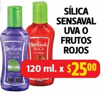 Farmacias Guadalajara SÍLICA SENSAVAL UVA O FRUTOS ROJOS 120ml oferta