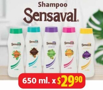 Farmacias Guadalajara Shampoo Sensaval 650ml oferta