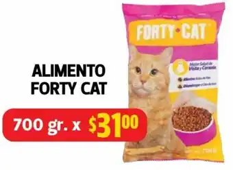 Farmacias Guadalajara ALIMENTO FORTY CAT 700g oferta