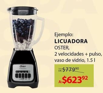 DelSol Licuadora oster oferta