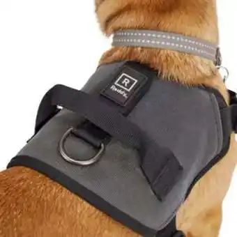 Petco Reddy arnés modelo óptica color negro para perro, mediano oferta