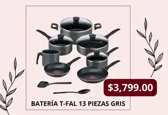 Chedraui BATERÍA T-FAL 13 PIEZAS GRIS oferta