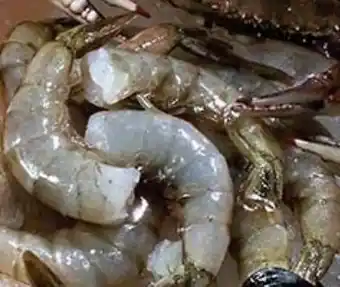 La Comer Camarón chico sin cabeza kg oferta