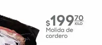 Molida de cordero x kilo