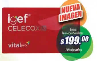 igef CELECOXIB