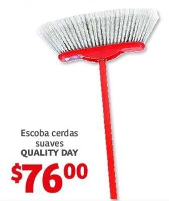 Escoba cerdas suaves QUALITY DAY