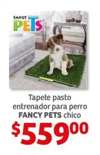 Soriana Híper Tapete pasto entrenador para perro FANCY PETS chico oferta