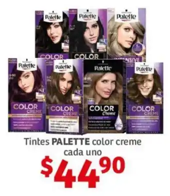 Tintes PALETTE color creme cada uno