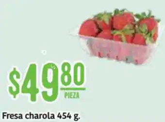 Fresa Charola 454g