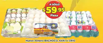 Huevo 30nero Bachoco,Kaki ó Crío