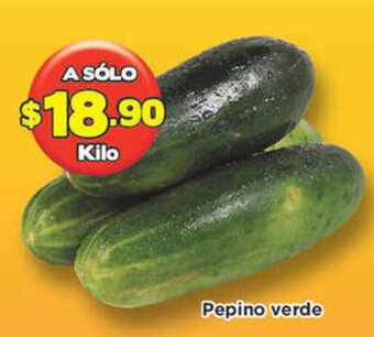 Pepino Verde