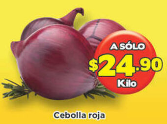 Super Aki Cebolla Roja oferta
