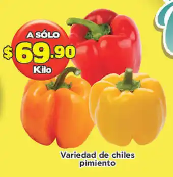 Variedad De Chiles Pimiento