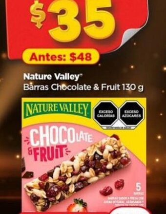 NATURE VALLEY Barras Chocolate & Fruit 130 g