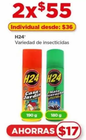 H24 Variedad de insecticidas