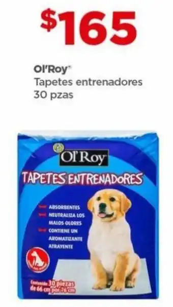 Ol'Roy Tapetes entrenadores 30 pzas