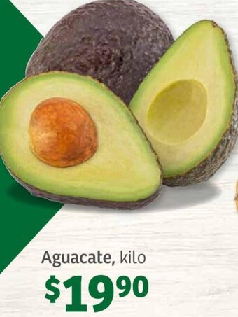 Soriana Híper Aguacate, kilo oferta