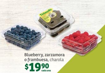 Blueberry, zarzamora o frambuesa, charola