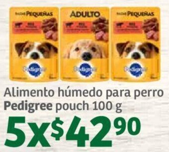 Soriana Híper Alimento húmedo para perro Pedigree pouch 100 g oferta