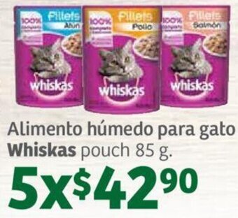Soriana Híper Alimento húmedo para gato Cat Chow 1.5 kg. Whiskas pouch 85 g. cada uno oferta