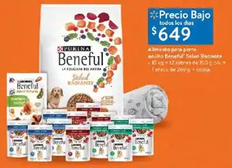 Walmart Alimento para perro adulto Beneful' Salud Radiante • 10 kg + 12 sobres de 100 g c/u + 1 snack de 269 g + cobija oferta