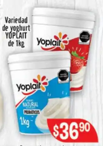 Variedad de yoghurt YOPLAIT de 1kg