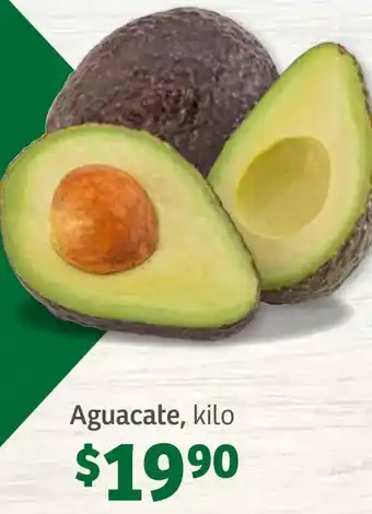 Soriana Súper Aguacate, kilo oferta