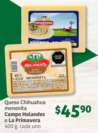 Queso Chihuahua menonita Campo Holandes o La Primavera 400 g. cada uno