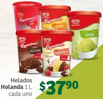 Helados Holanda 1L