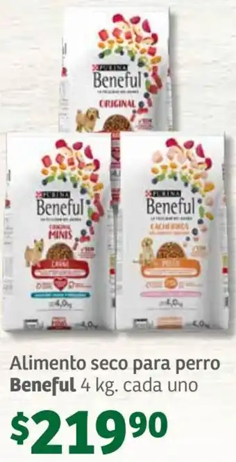 Alimento seco para perro Beneful 4 kg. cada uno