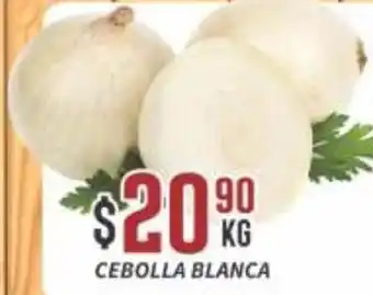CEBOLLA BLANCA