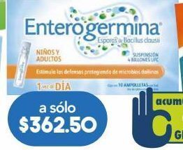 Farmacia San Pablo Enterogermina 4 bufc amps c/10 oferta
