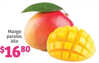 Mango paraíso, kilo