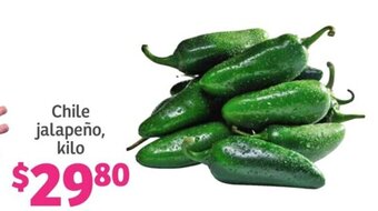 Chile jalapeño, kilo