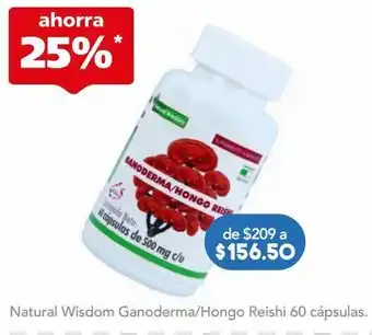 Farmacia San Pablo Natural wisdom ganoderma/hongo reishi suplemento alimenticio vegano 60 frasco oferta