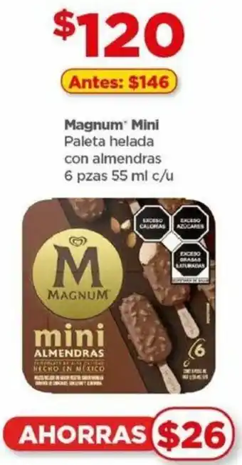 Magnum Mini Paleta helada con almendras 6 pzas 55 ml c/u