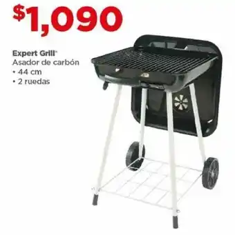 Expert Grill Asador de carbón • 44 cm
