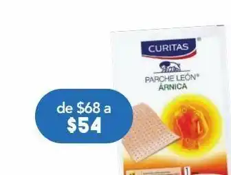Leon parche de arnica c/1pz