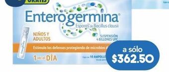 Farmacia San Pablo Enterogermina 4 bufc  amps c/10 oferta