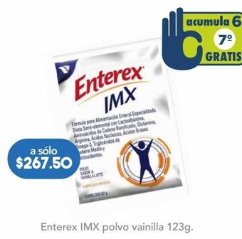 Enterex imx polvo vainilla c/123gr
